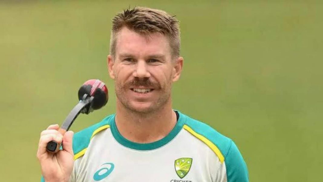 Following Dinesh Karthik, David Warner will begin his commentary career while still playing cricket.