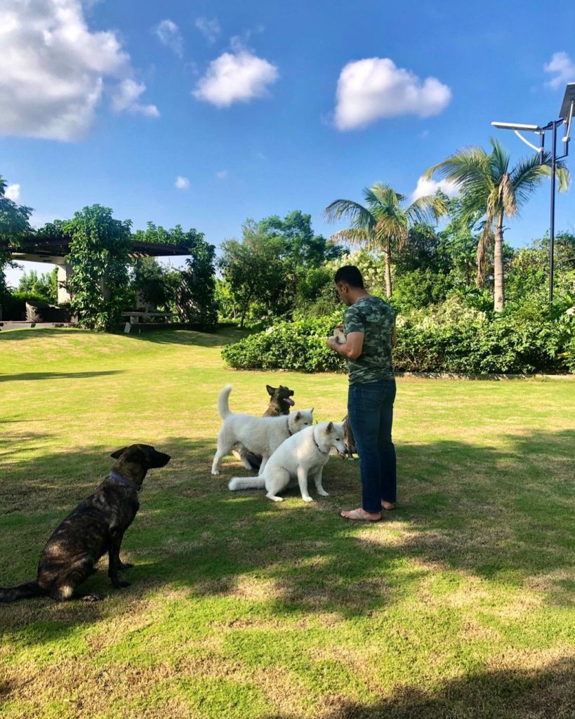 MS Dhoni with his Dogs