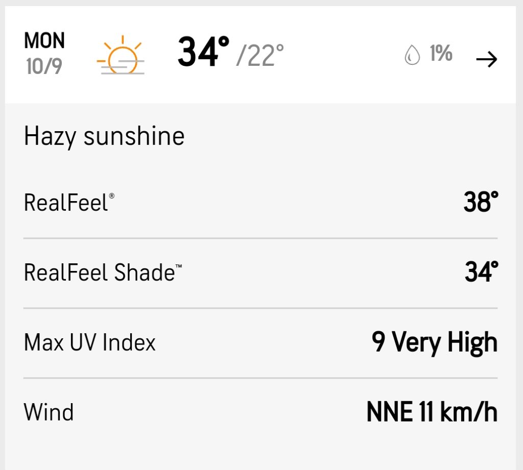 Hyderabad Weather Report Today Match: New Zealand vs Netherlands World Cup 2023