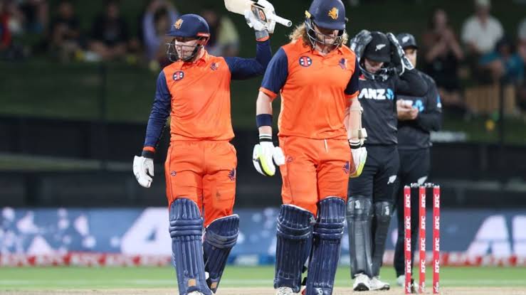New Zealand vs Netherlands Head To Head Records ODI World Cup